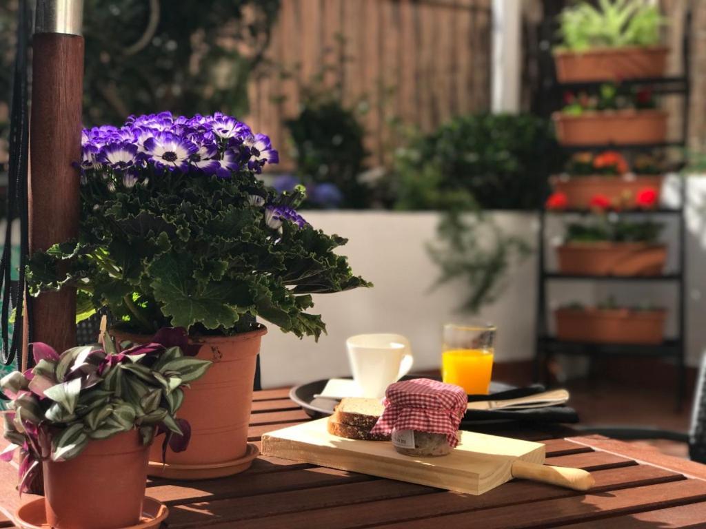 Eixample Apartments - Pova Βαρκελώνη Εξωτερικό φωτογραφία